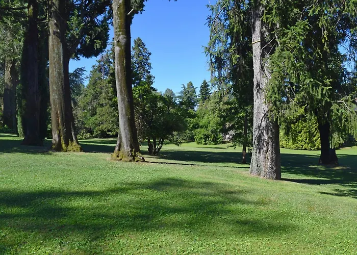 Azalea By Interhome Porto Valtravaglia